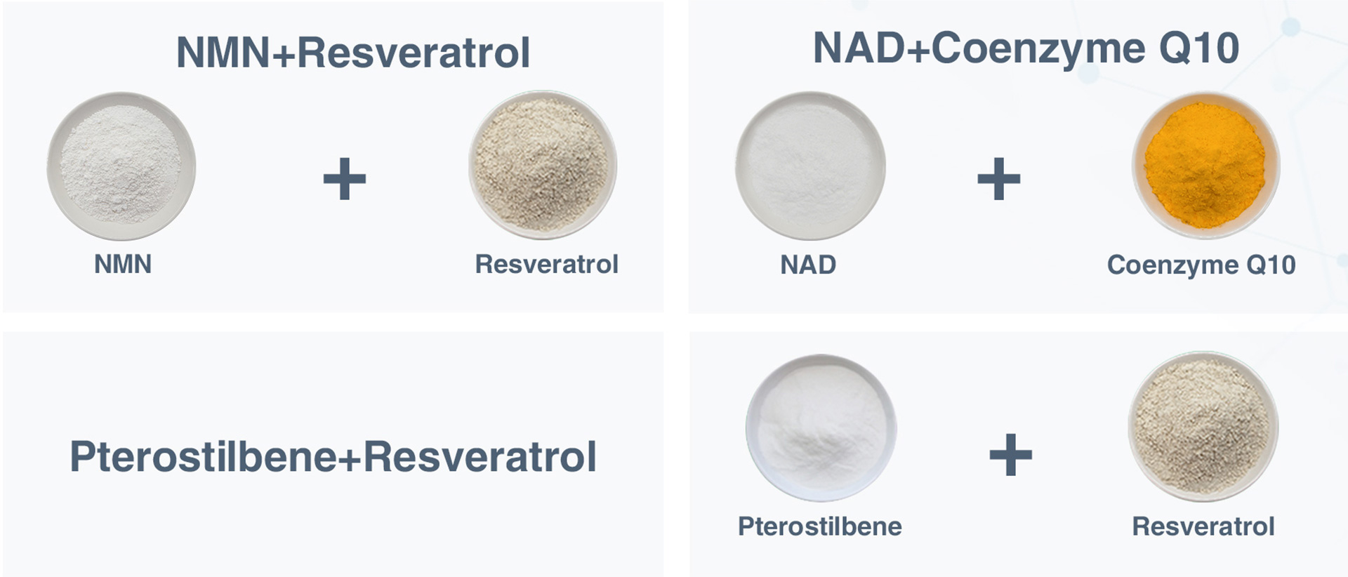 Coenzyme Q10 Powder